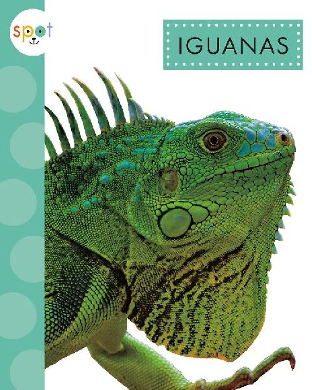 Iguanas