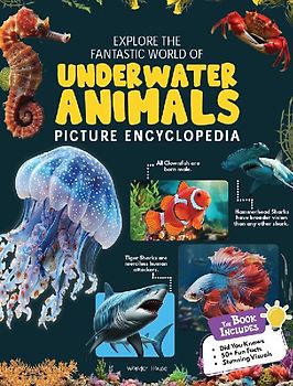 Explore Fantastic World of Underwater Picture Encyclopedia