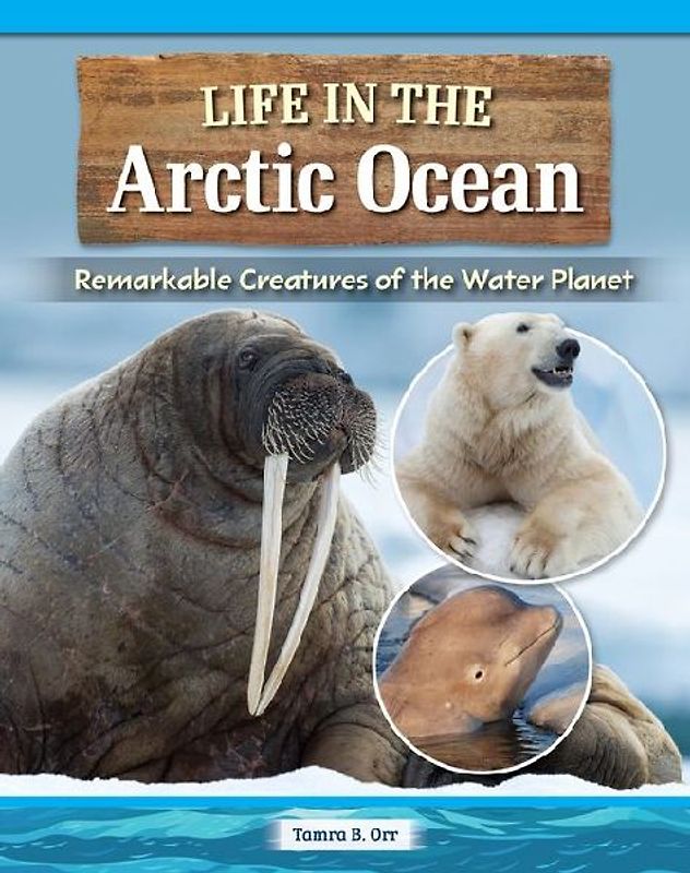 Amazing Creatures of the Arctic Ocean