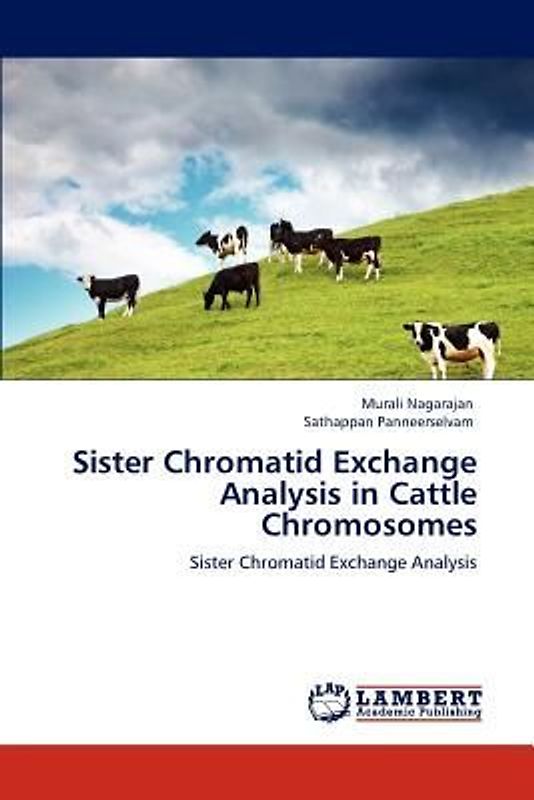 Sister Chromatid Exchange Analysis in Cattle Chromosomes