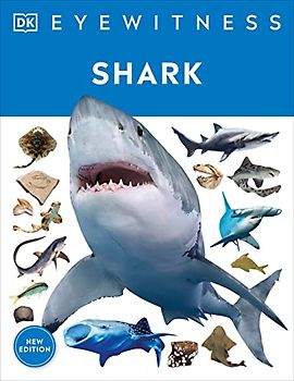 Eyewitness Shark
