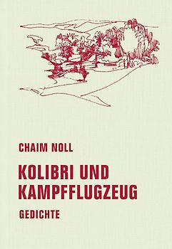 Kolibri und Kampfflugzeug