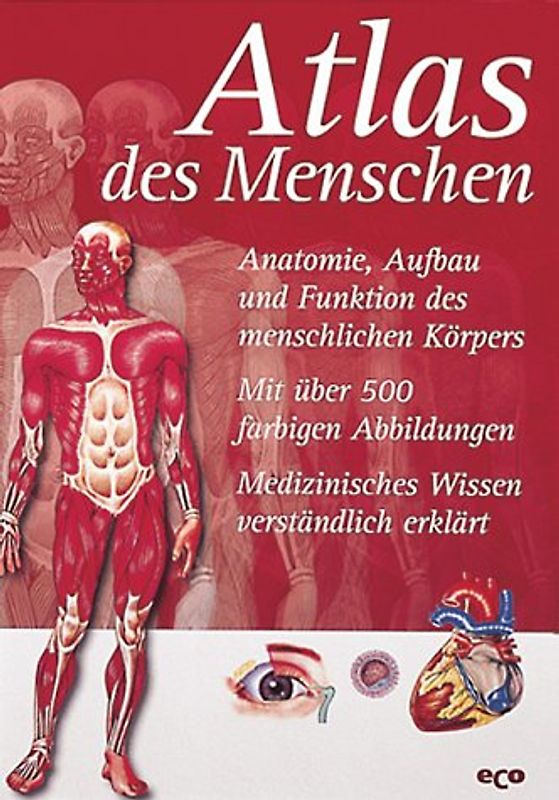 Atlas des Menschen. Anatomie, Aufbau und Funktion des menschlichen Körpers. Medizinisches Wissen verständlich erklärt