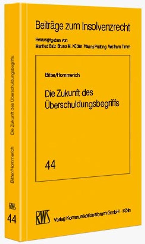 Die Zukunft des Überschuldungsbegriffs