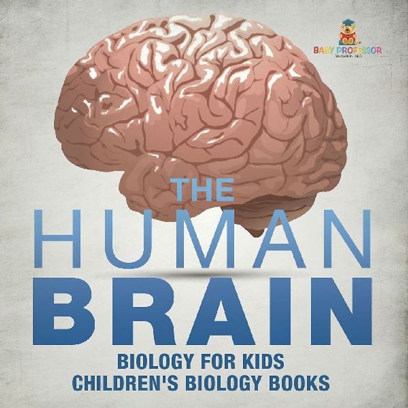 The Human Brain - Biology for Kids | Children's Biology Books
