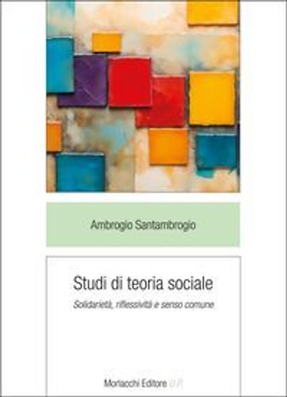 Studi di teoria sociale. Solidarietà, riflessività e senso comune