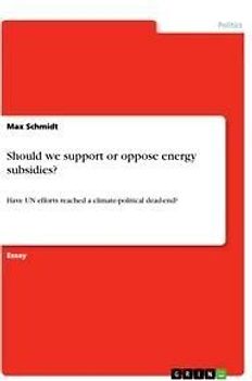 Should we support or oppose energy subsidies?