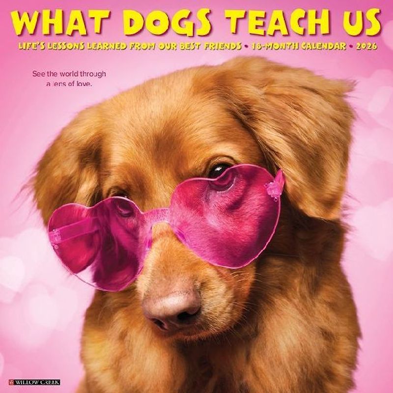 What Dogs Teach Us 2026 12 X 12 Wall Calendar