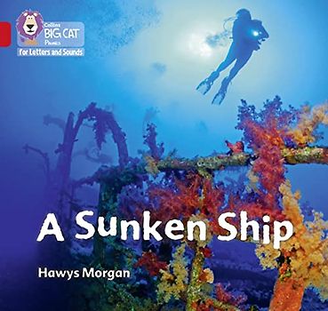 A Sunken Ship
