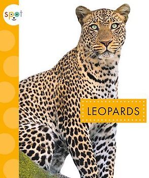 Leopards