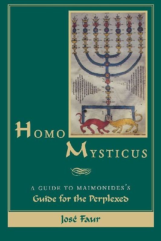 Homo Mysticus