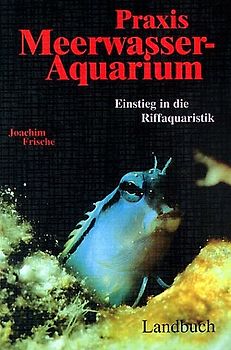 Praxis Meerwasseraquarium