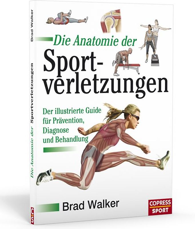 Die Anatomie der Sportverletzungen