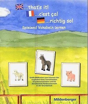 „... that`s it! 1 ... c`est ça! 1 ... richtig so! 1“ – Substantive