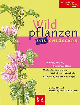 Wildpflanzen neu entdecken