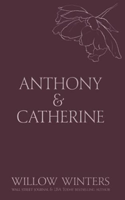 Anthony & Catherine: Bad Boy (Discreet Series, Band 5)