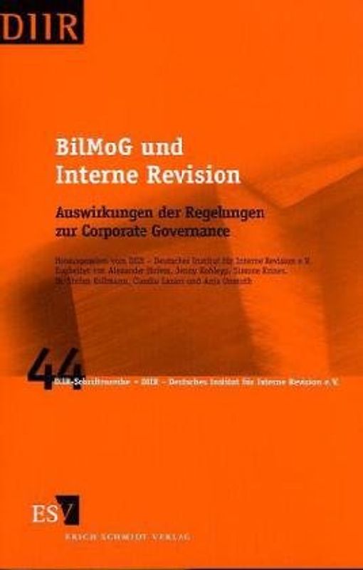 BilMoG und Interne Revision