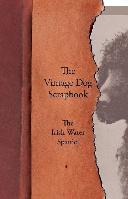 The Vintage Dog Scrapbook - The Irish Water Spaniel