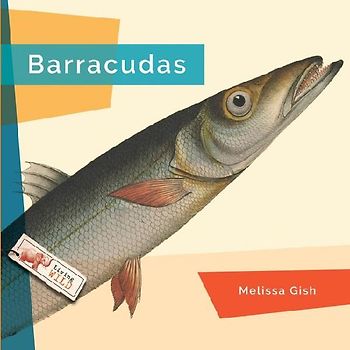 Barracudas