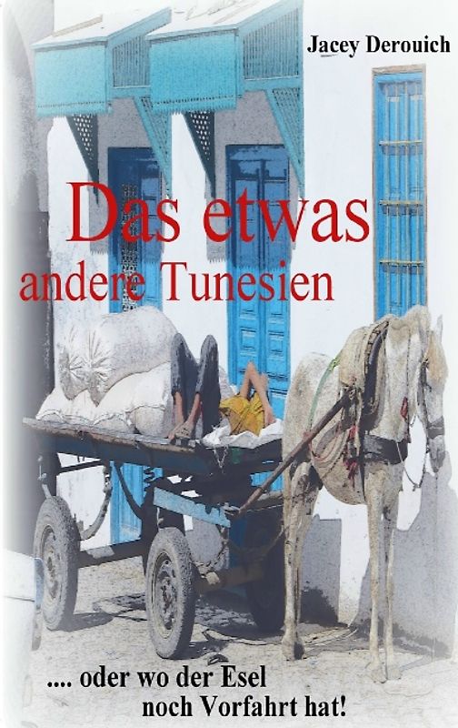 Das etwas andere Tunesien