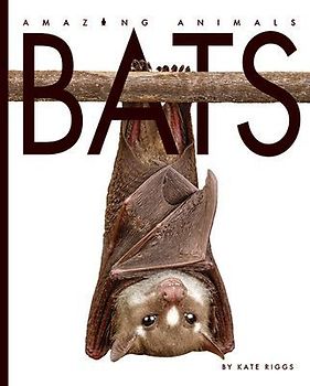Bats