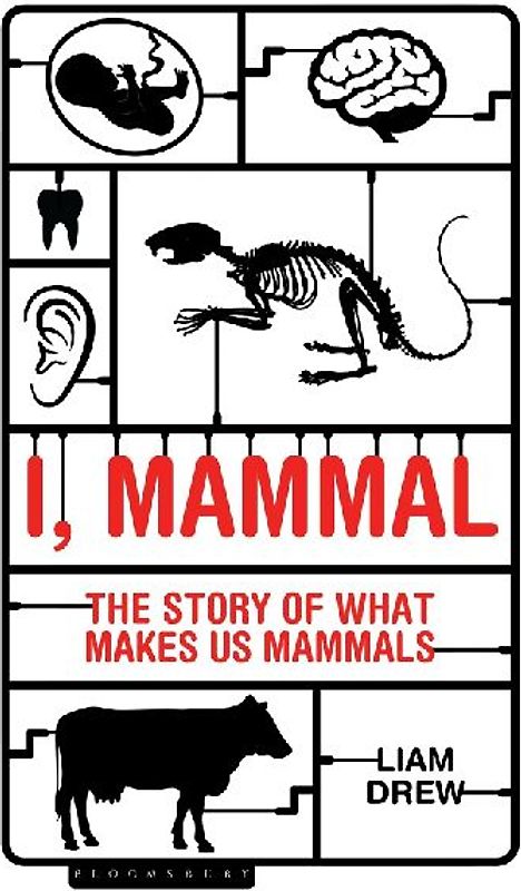 I, Mammal