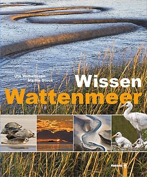 Wissen Wattenmeer