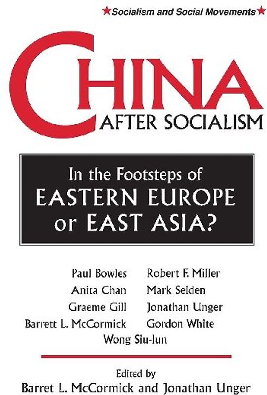 China After Socialism