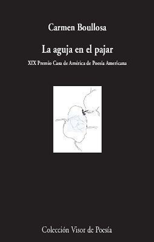 La aguja en el pajar