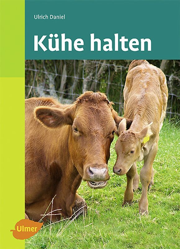 Kühe halten