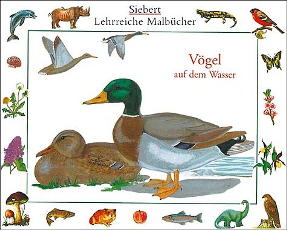 Vögel auf dem Wasser. Malbuch. Verpackungseinheit