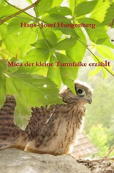 Mica der kleine Turmfalke erzählt