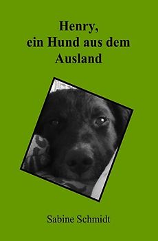 Henry, ein Hund aus dem Ausland