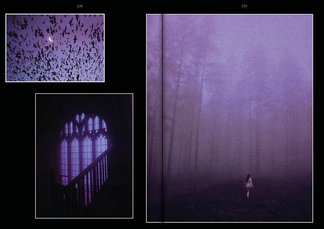 Venezia Salzburg New York von Bernhard Vogel