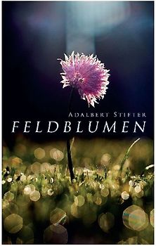 Feldblumen