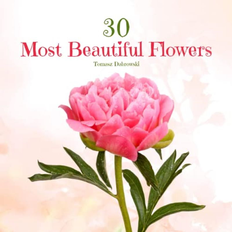 30 Most Beautiful Flowers: A Journey Through the World's Most Stunning Flowers