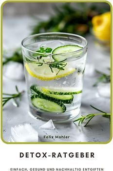 Detox-Ratgeber