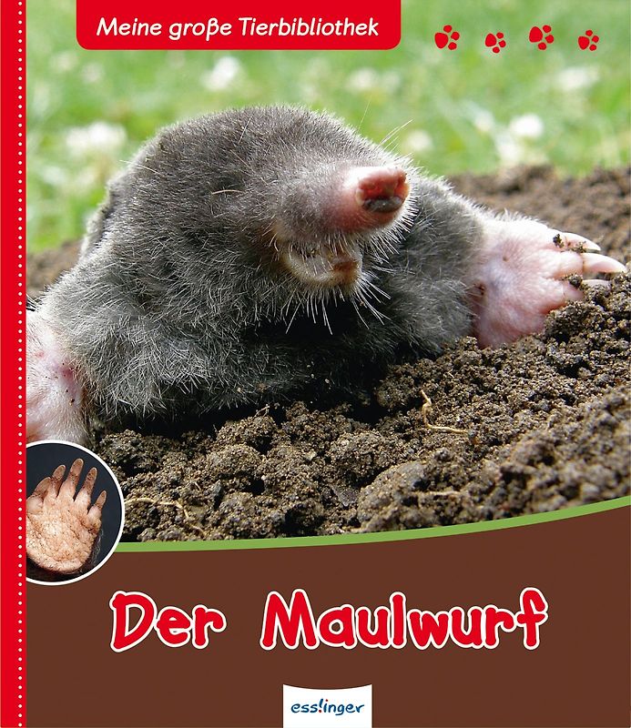 Meine große Tierbibliothek: Der Maulwurf
