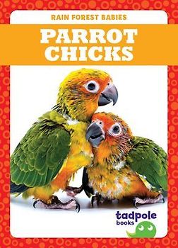 Parrot Chicks