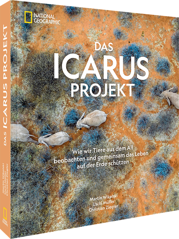 Das ICARUS Projekt
