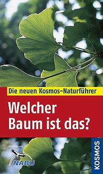 Welcher Baum ist das?