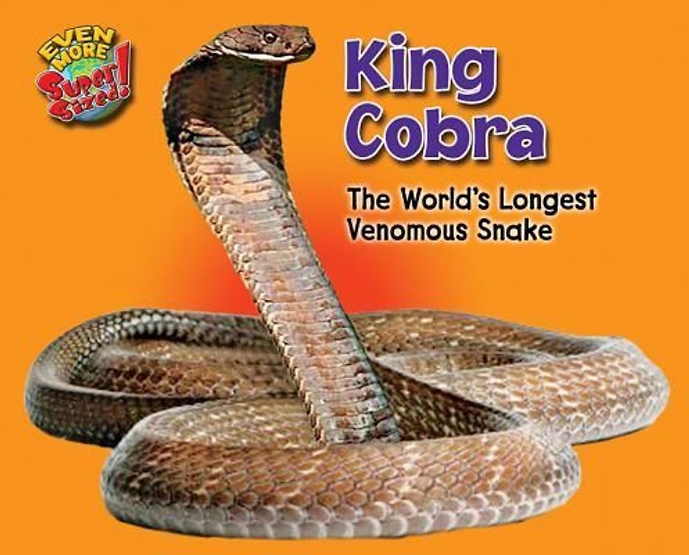 King Cobra