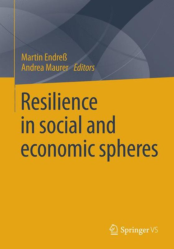 Resilience in social and economic spheres