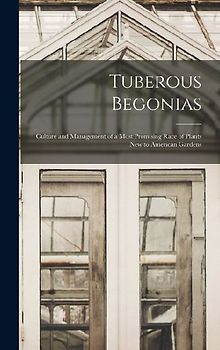 Tuberous Begonias; Culture and Management of a Most Promising Race of Plants new to American Gardens