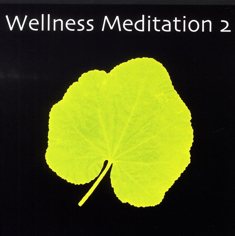 Various - Wellness Meditation 2