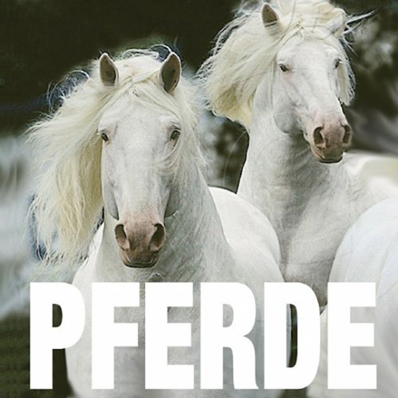 Pferde