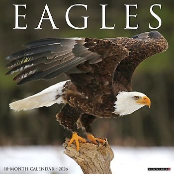 Eagles 2026 12 X 12 Wall Calendar