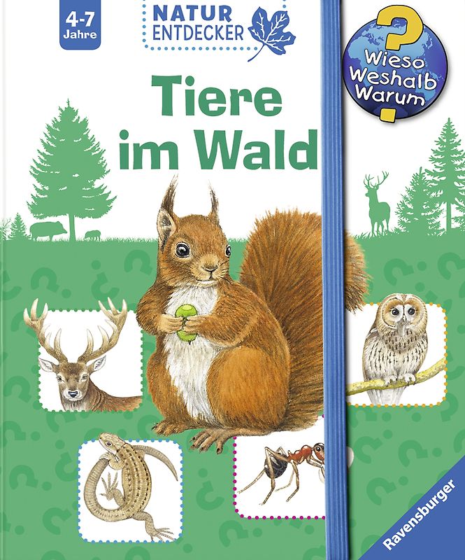 Tiere im Wald
