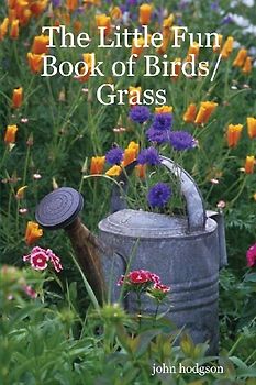 The Little Fun Book of Birds/Grass