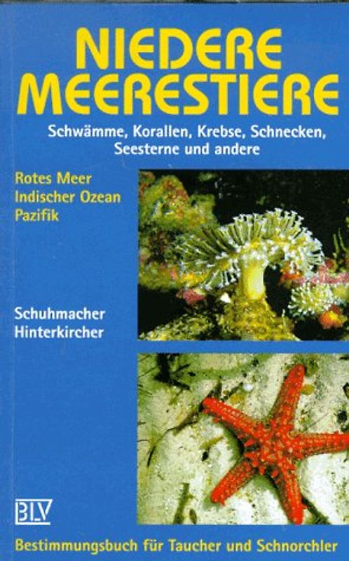 Niedere Meerestiere. Bestimmungsbuch für Taucher und Schnorchler. Schwämme, Korallen, Krebse, Schnecken, Muscheln, Seesterne und andere. Rotes Meer, Indischer Ozean, Pazifik